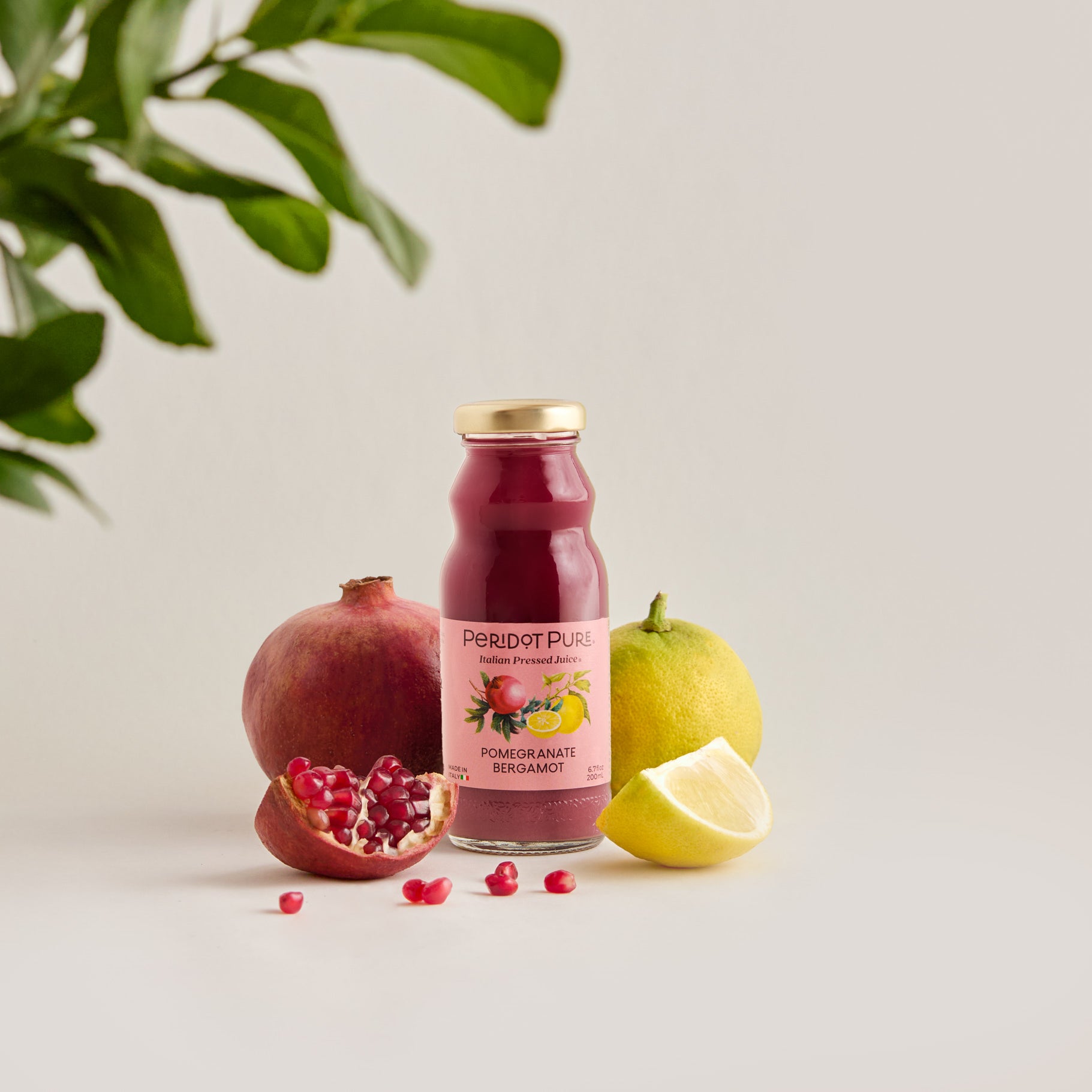 Peridot Pure Pomegranate Bergamot Italian Pressed Juices 6.7 fl oz