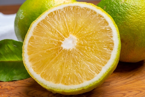 Bergamot orange sliced in half